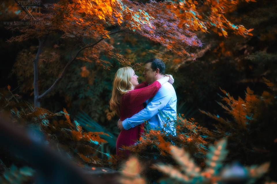 SterlingFX Photography & Retouching