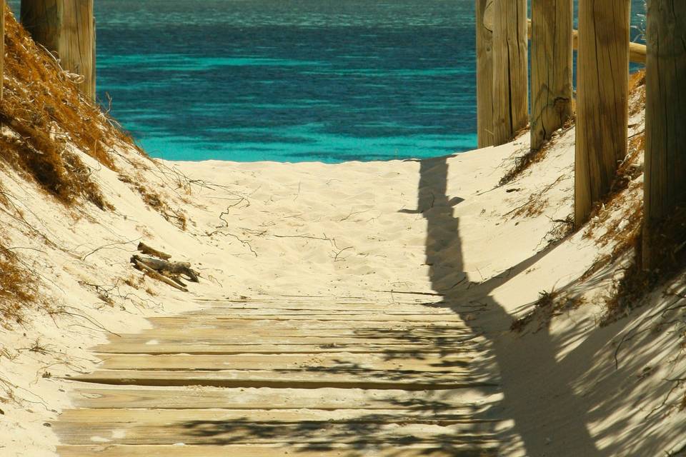 Pathway to Paradise