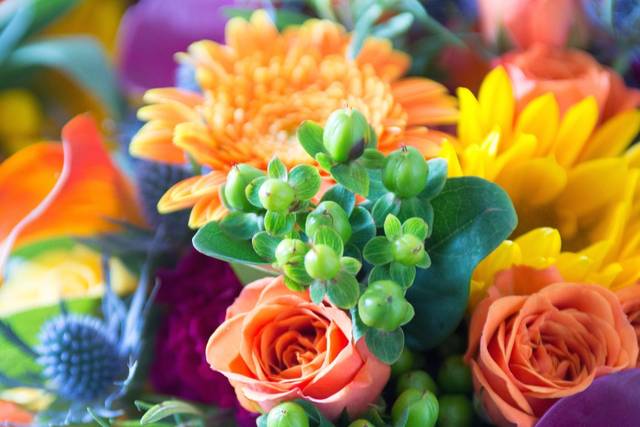Flowers From Wonderland