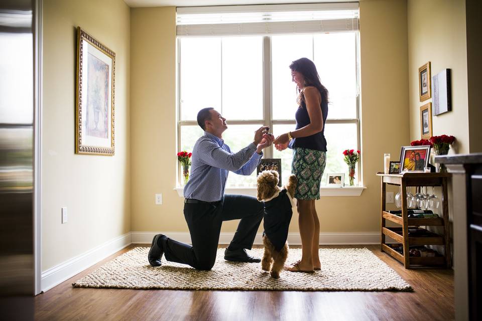 Surprise in-home proposal
