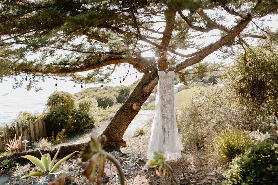 Breeze