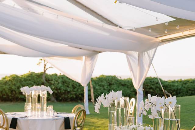 White Orchids and Candles