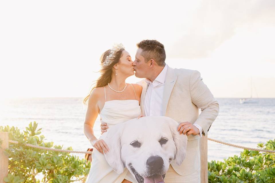 Wedding using Hydrangeas