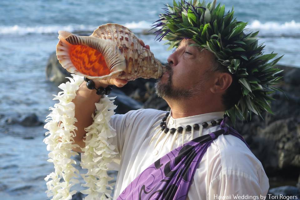 Conch shell