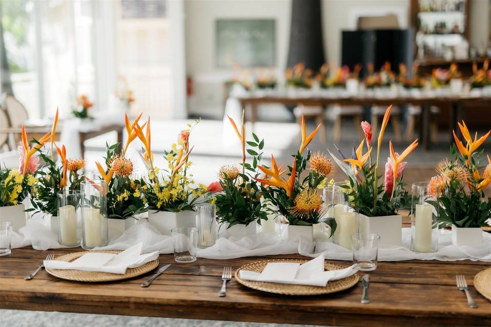 Tropical Flowers