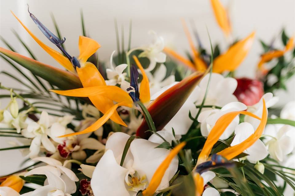 Outdoor Beach Wedding Ceremony