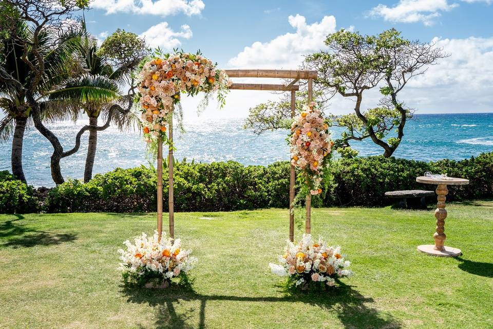 Maui Eldorado
