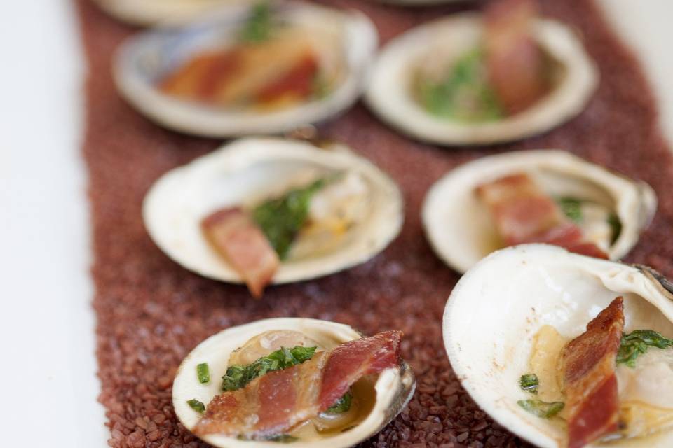 clams 