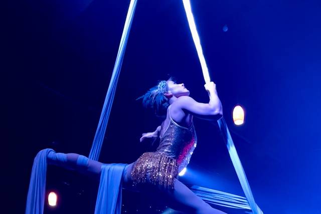Silks - Roaring 20's