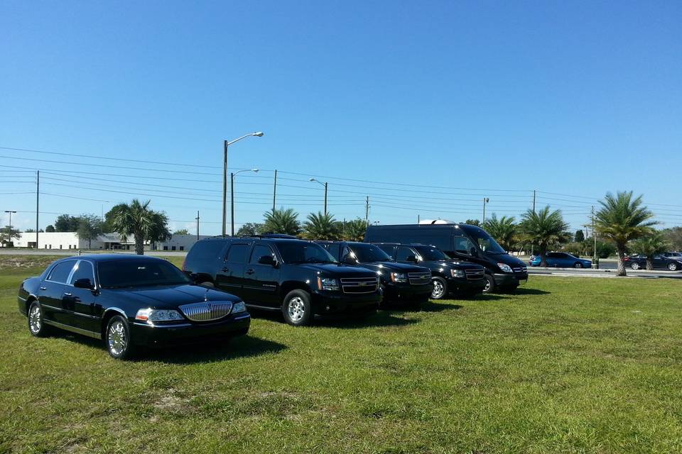 Chauffeured Transportation Services LLC