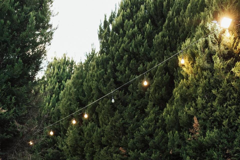 pexels-bikareantalya-31687901.jpg