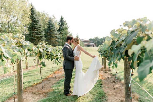 Wineyard