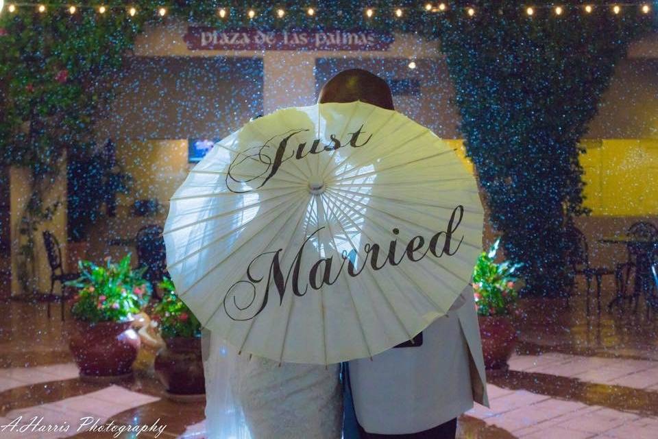 Just married sign