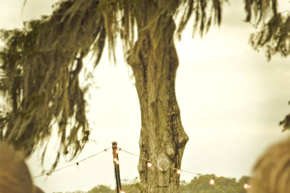 Jen Dee Photography