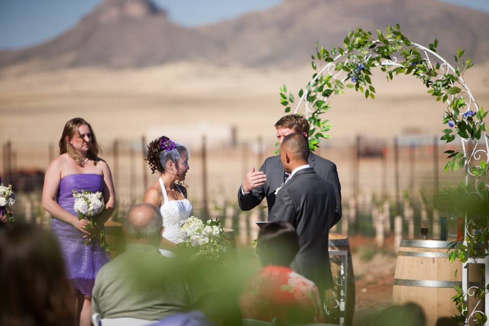 Wilhelm Family Vineyards