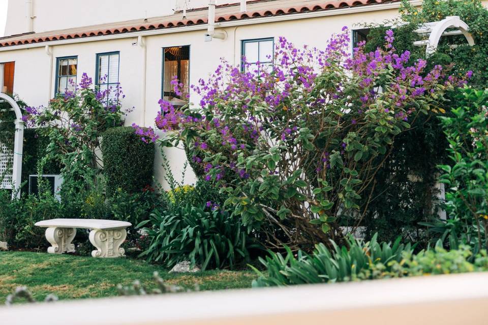 Garden facing Pacific Ocean