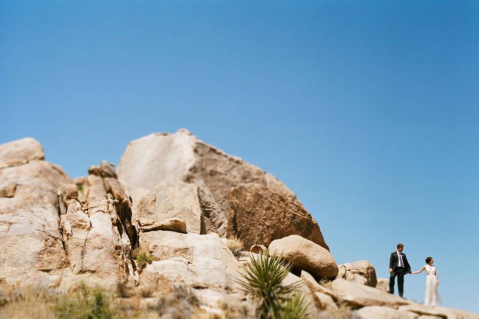 A springtime Joshua Tree wedding at Rim Rock Ranch.