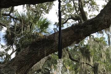 Moss Creek Country Club