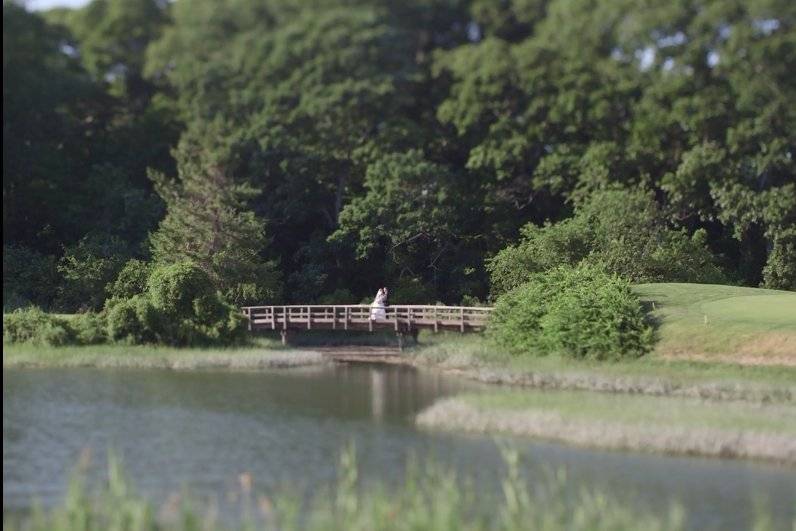 The bridge from afar