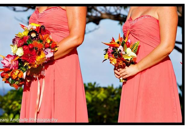 Keani Andrade Photography