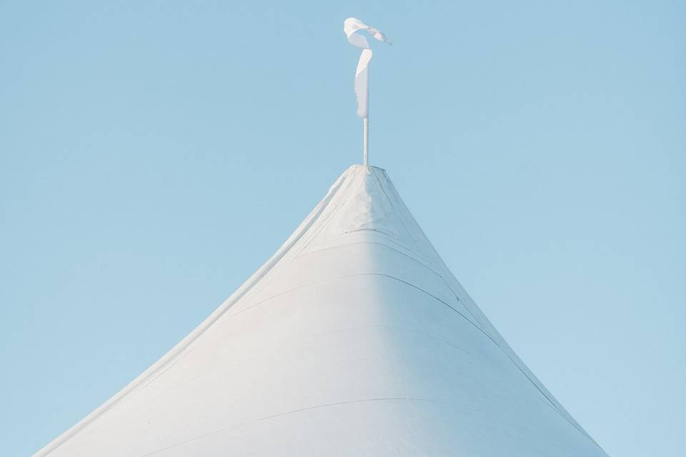 Daniel Schechner Photography