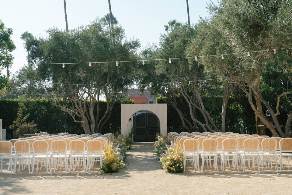 Olive Grove