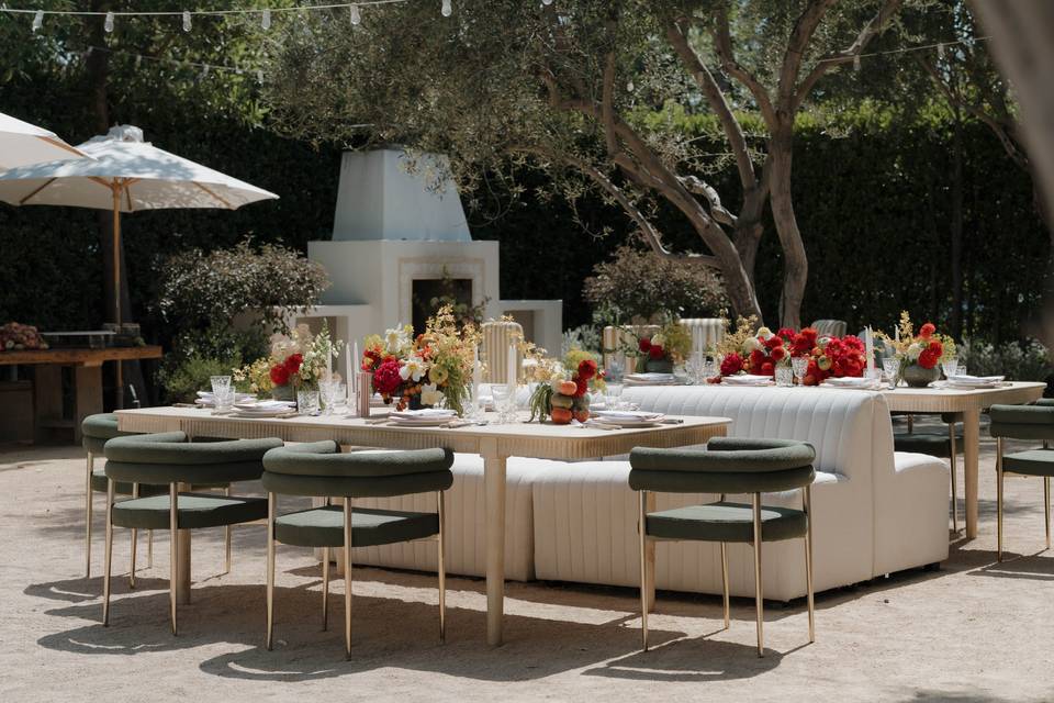 Olive Grove