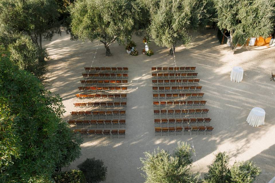 Olive Grove