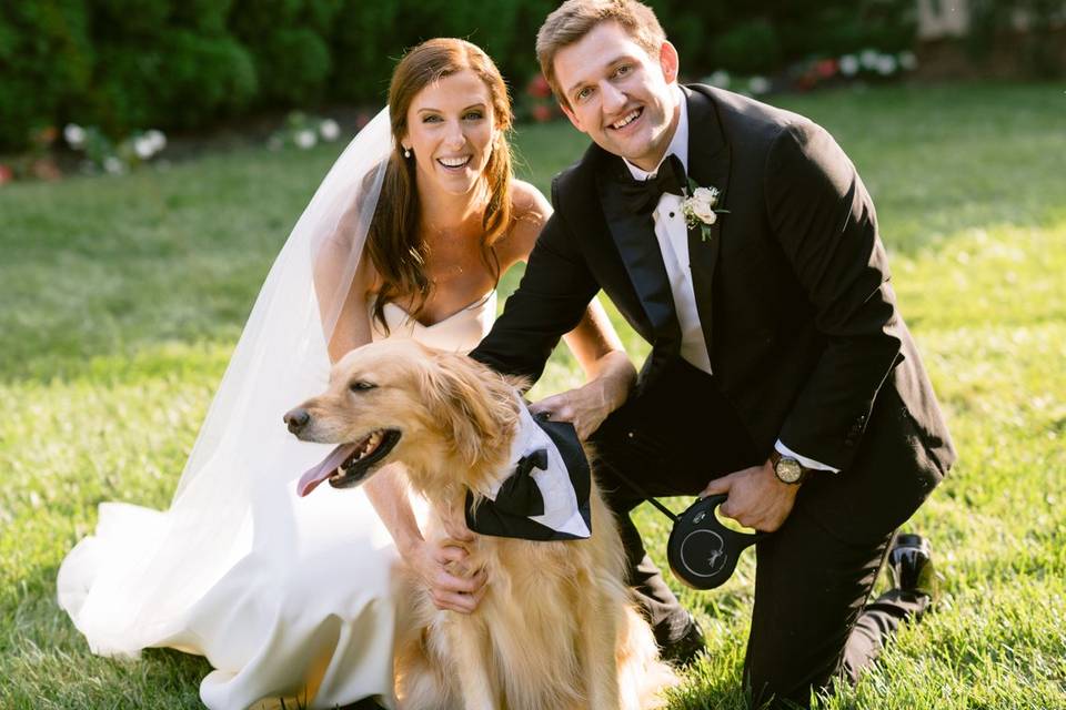 We Love Dogs!