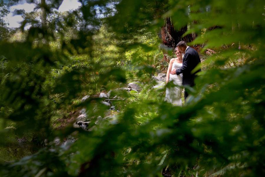 This lush forested venue was actually on the bride's family property outside of Fort Bragg, California.