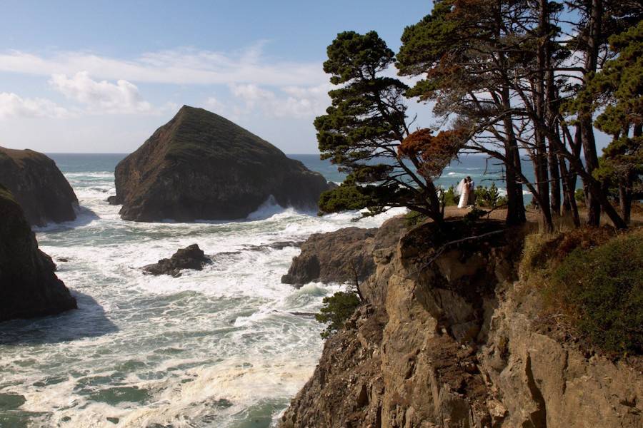The natural splendor of the Pacific Ocean accompanies a wedding in Little River, on the Mendocino Coast of California.
