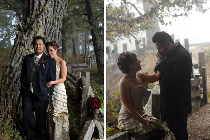 Gorgeous atmospheric light graced this bridal photo shoot after the ceremony in a State Park near Mendocino, on the California coast.