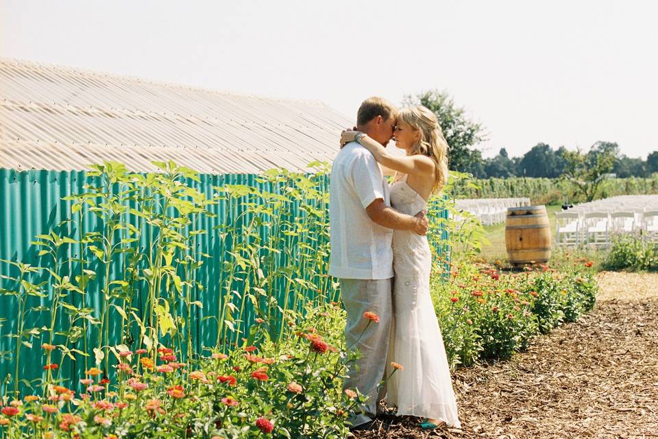 A romantic summer wedding at a rustic family property among the vineyards in Napa, California.