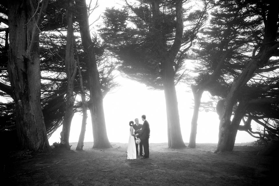 A moody and intimate elopement-style wedding ceremony in a cypress grove overlooking the Pacific Ocean in Mendocino, California.