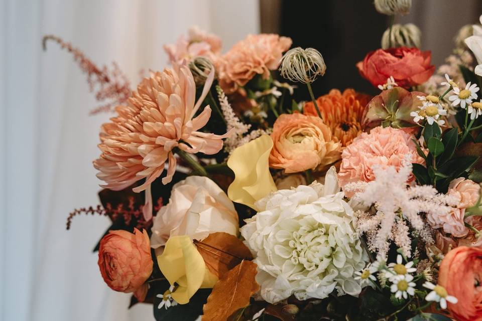 @Taradraperphotography