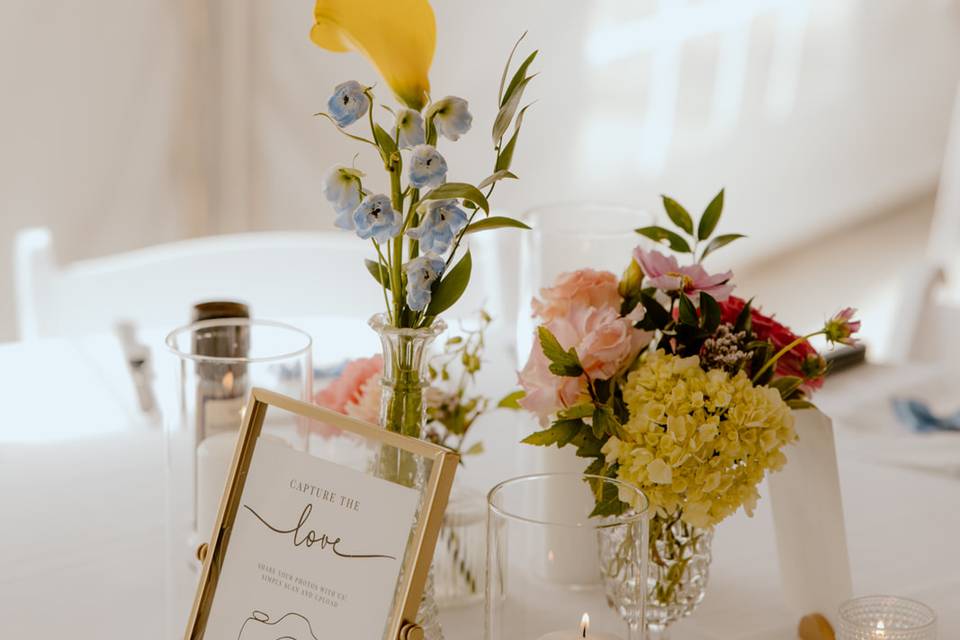 @ErikaDiazPhotography