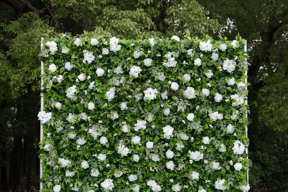 Eleanor Wall
