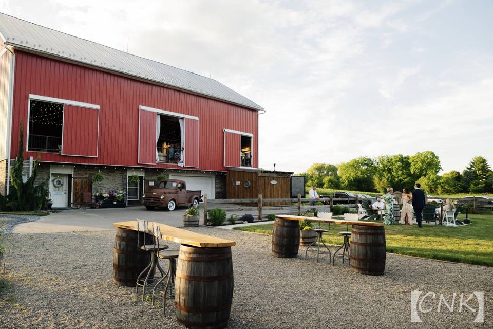 Barn Swallow Farm