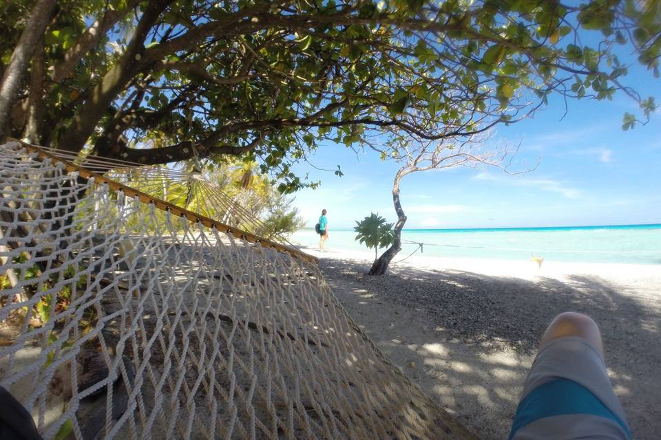 View from the hammock