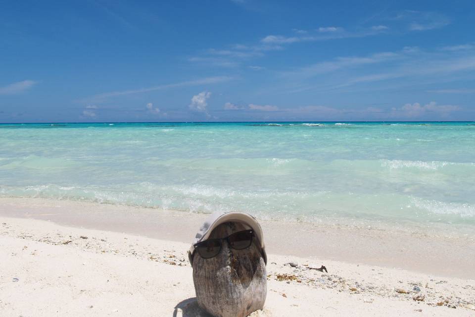 Rangiroa - we found Wilson!!