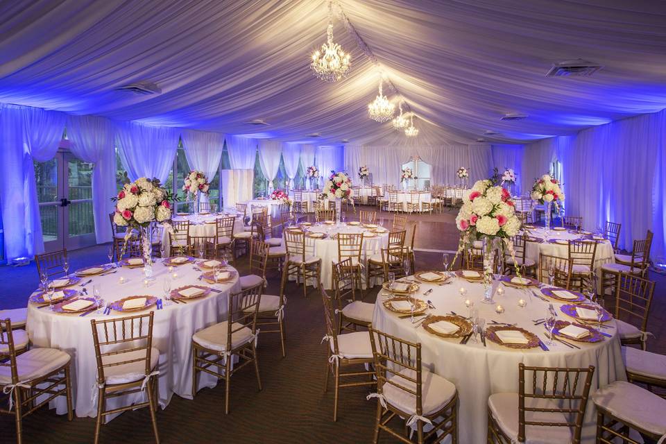 Indoor reception with uplighting