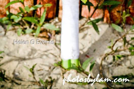 Helen G Events