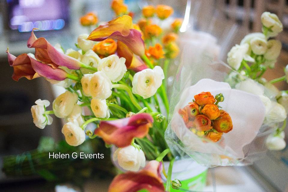 Helen G Events