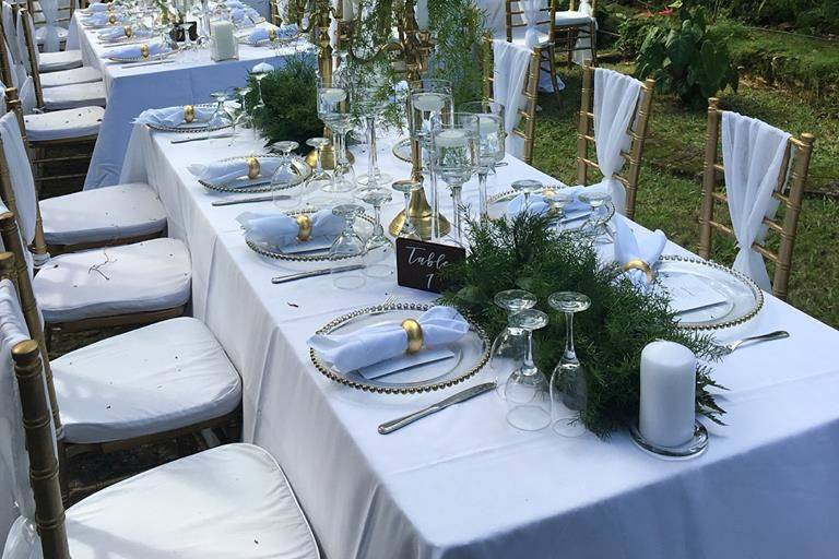 Outdoor reception table setup