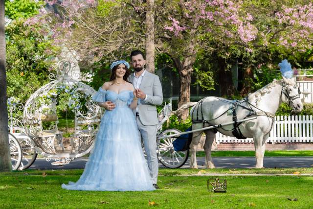 San diego stars Photography