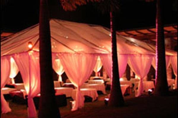 Eco Chic World Weddings 888 487 5543..