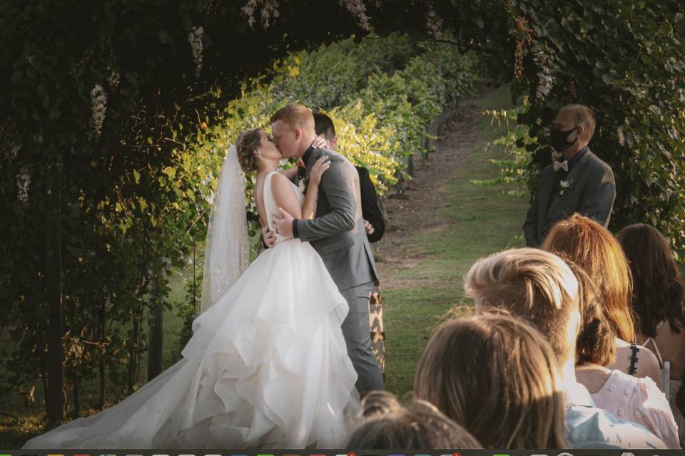 A kiss by beautiful vineyard