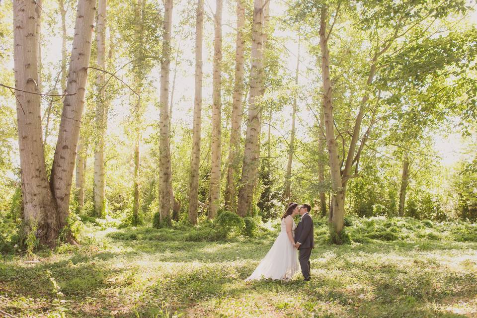 Bride and groom in trees