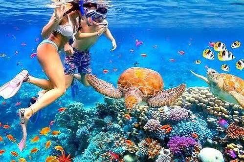 Enjoy nature together