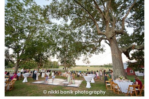 Nikki Savage Photography